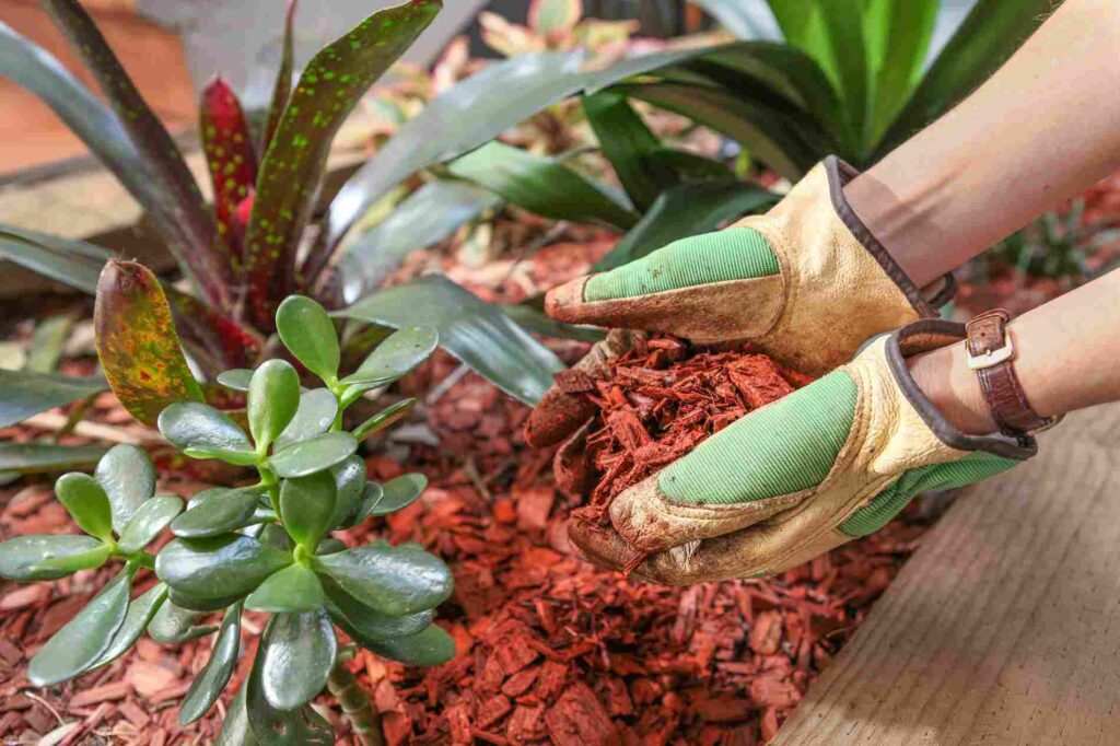 7 Great Benefits of Mulching | Landscape Improvements