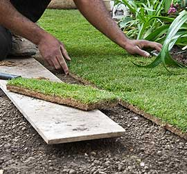 Florida Landscape Architect | Landscape Improvements