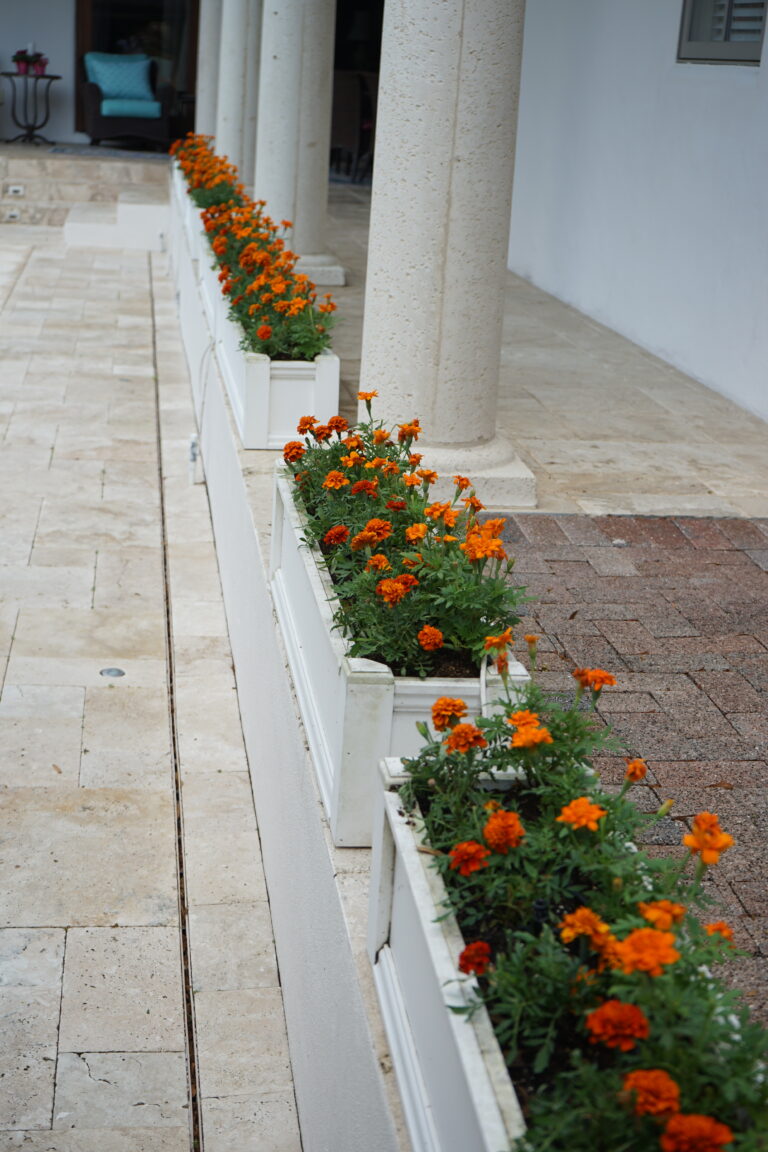 Container Gardening