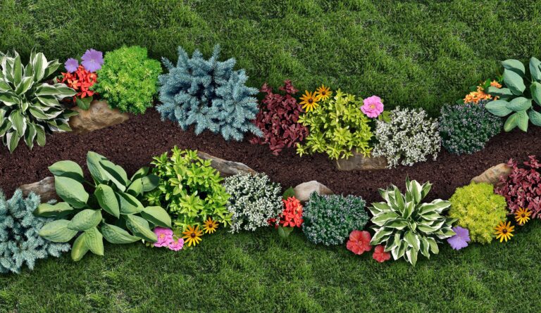 Horticulture Plants | Landscape Improvements