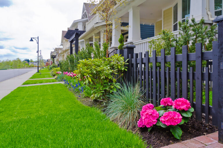 Orlando Neighborhood Landscape