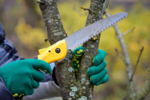 Arbor Care Tree Service | Landscape Improvements