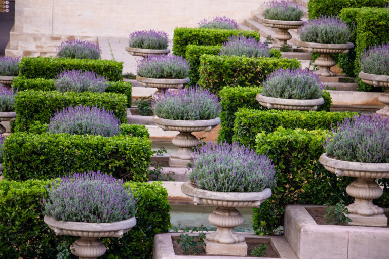 Container Gardening In A Commercial Space