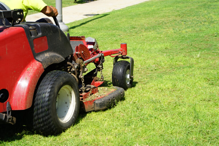 Lawn Care And Maintenance