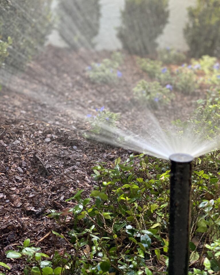 Close Up Irrigation System | Landscape Improvements