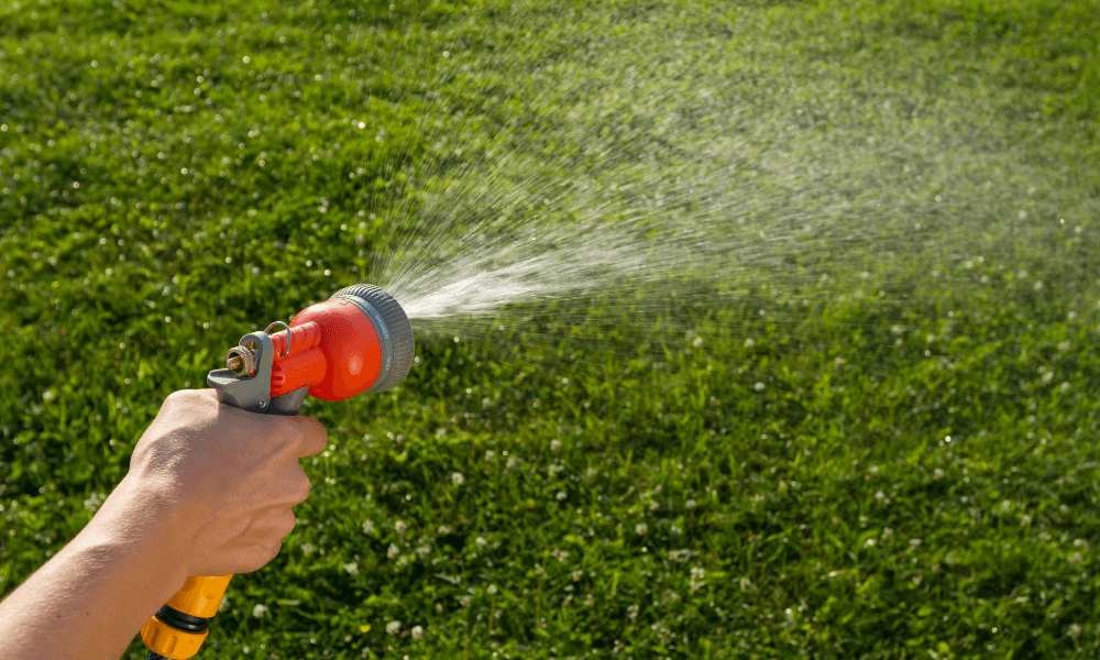 Watering Your Lawn the Right Way _ Landscape Improvements_11zon_11zon