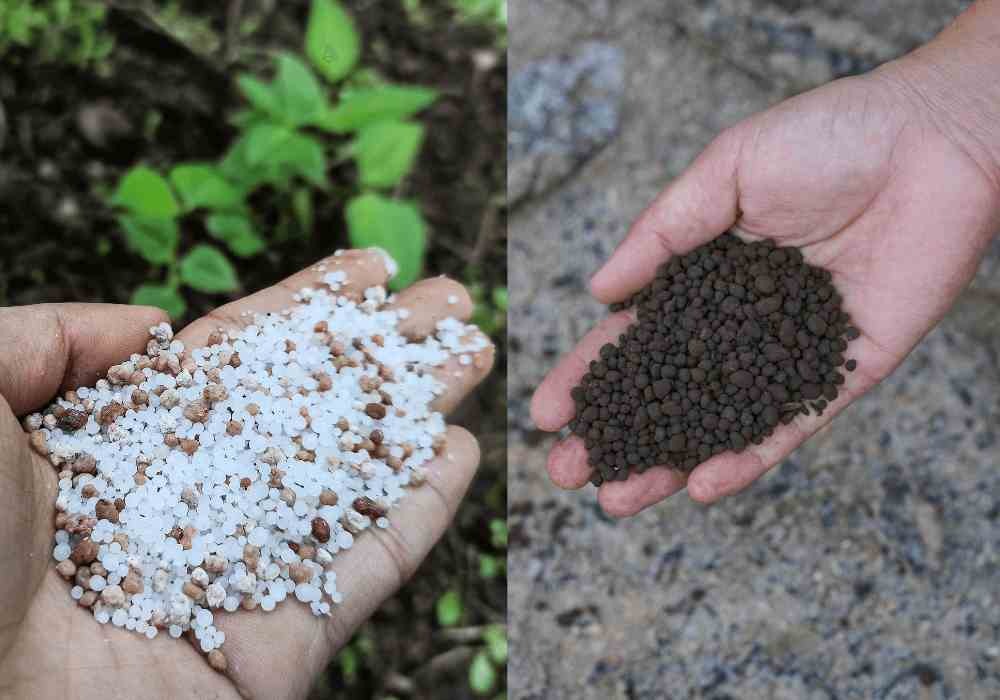 Chemical vs Organic Fertilizer | Landscape Improvements