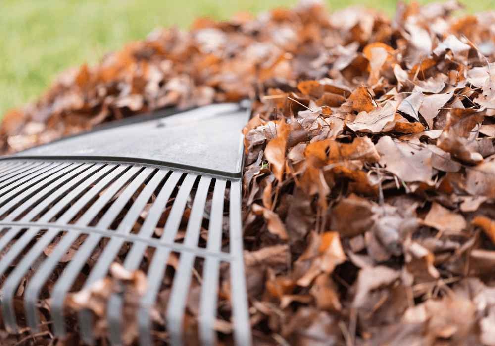 Landscaping Fall Cleanup 3 Tips to Ensure the Best Results | Landscape Improvements