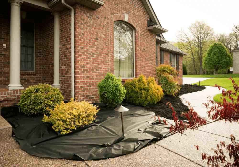 Why Your Lawn and Landscape Need Spring Yard Cleanup | Landscape Improvements