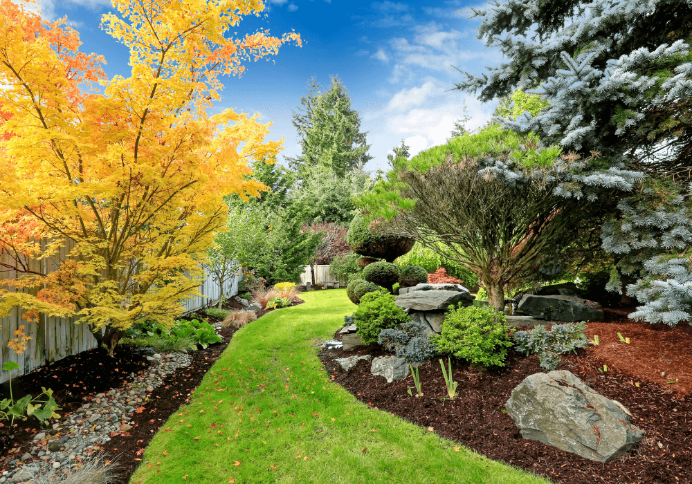 Backyard Landscape Design | Landscape Improvements