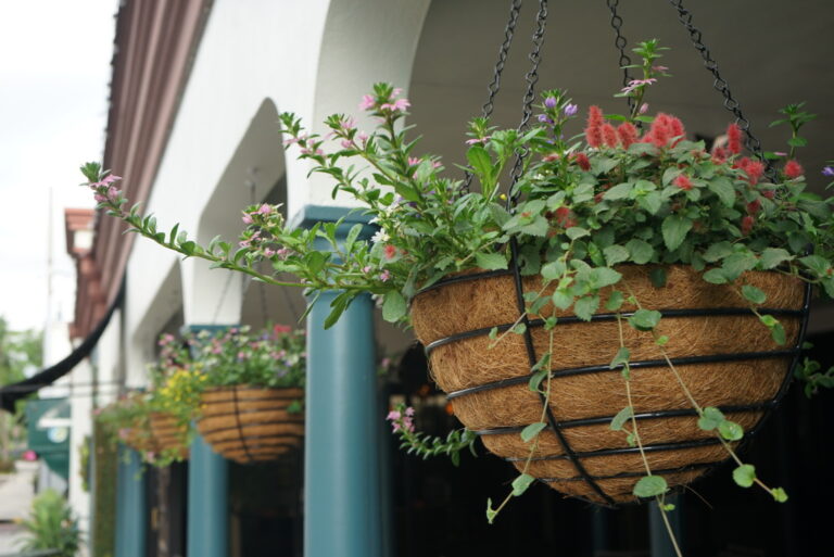 Container Gardening | Landscape Improvements