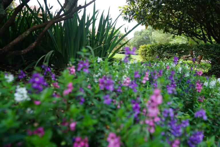 Landscape With Flowers | Landscape Improvements