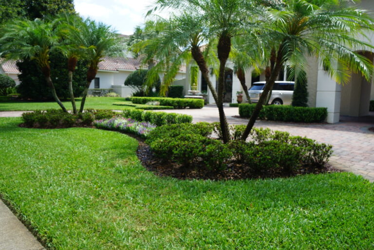 Landscaping for Homes | Landscape Improvements