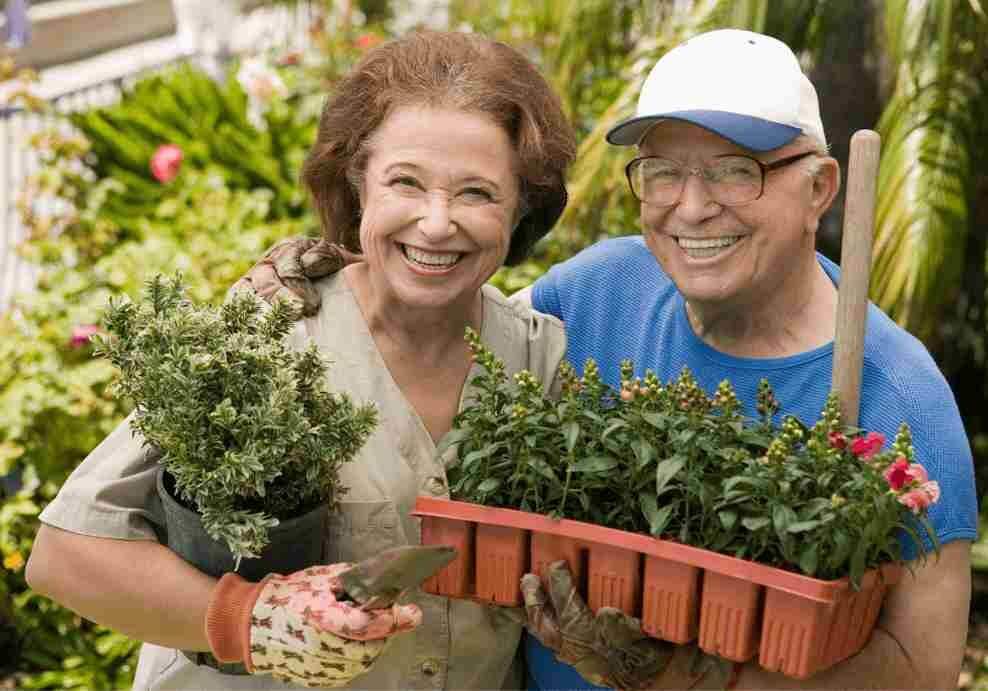 Easy-to-Grow Plants for Seniors | Landscape Improvements