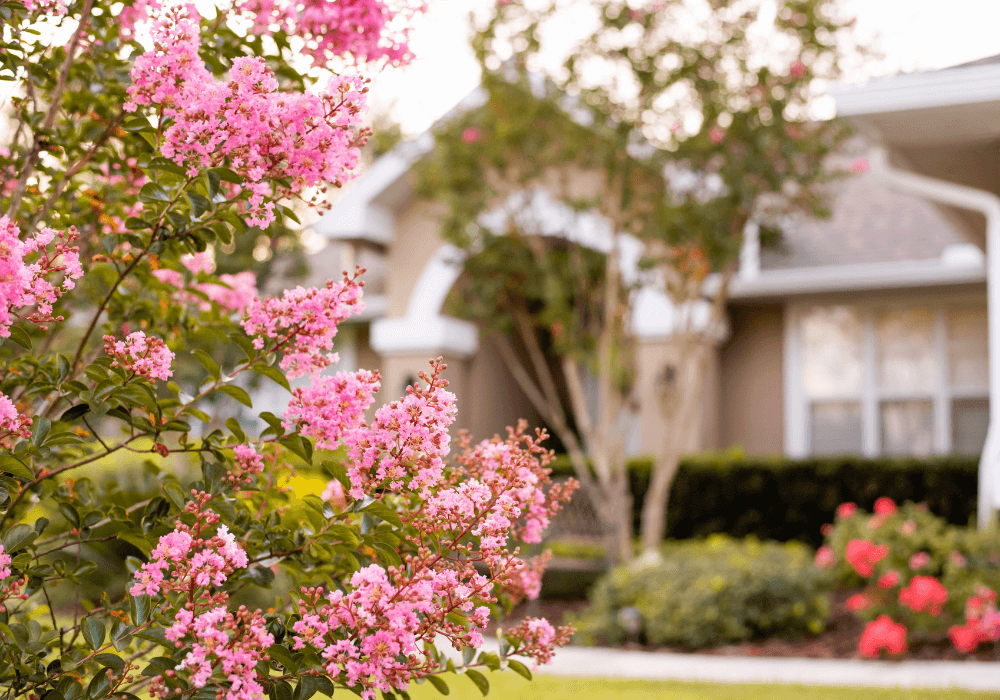 7 Types of Flowers Perfect for Florida Weather | Landscape Improvements