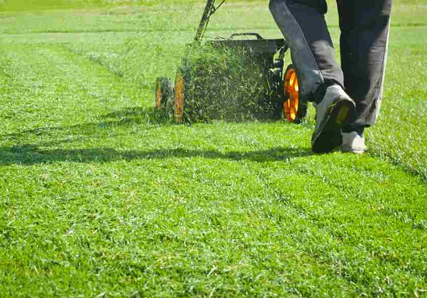 Mowing Your Lawn | Landscape Improvements