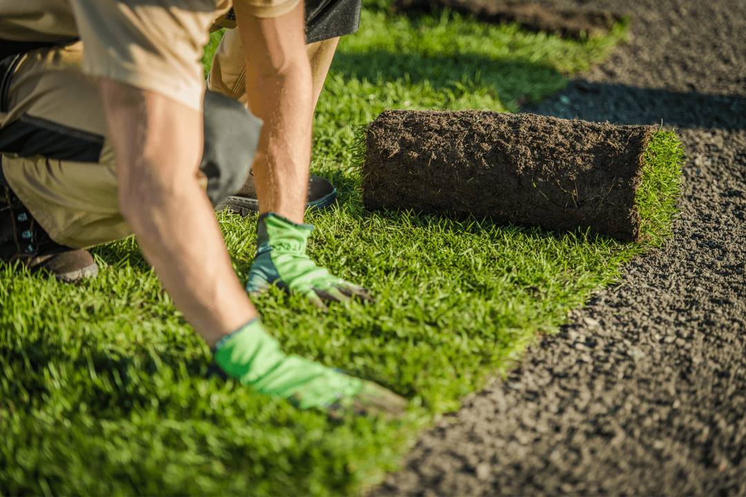 Quick and Simple Ways to Care for Your Landscape Installation | Landscape Improvements