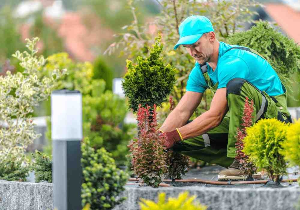 Hiring a Landscaper | Landscape Improvements