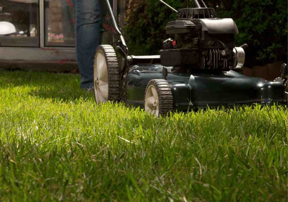 How Often Should I Mow My Lawn _ Landscape Improvements_11zon_11zon