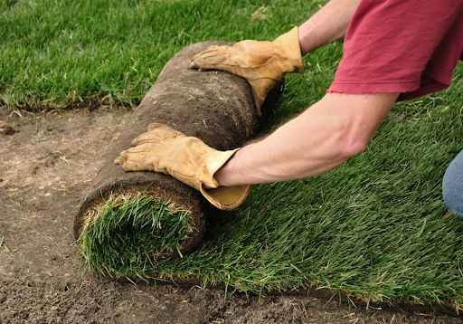 How to Lay Bermuda Sod | Landscape Improvements