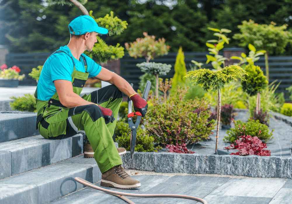 How to Start a Landscaping Business | Landscape Improvements