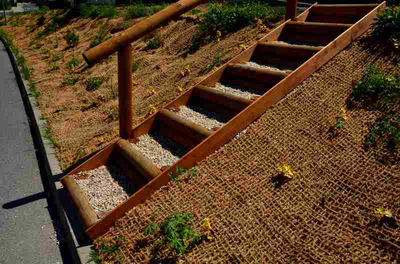 How to Landscape a Slope | Landscape Improvements