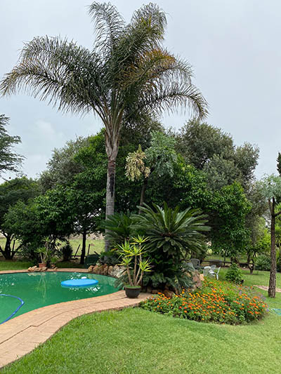 Belle Isle Landscape With Pool