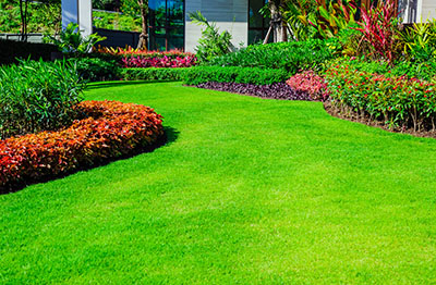 Residential Landscape Maintenance