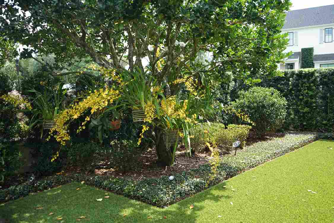 Edgewood Lawn Care Maitenance | Landscape Improvements