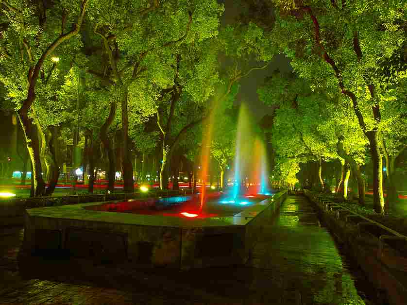 LED landscape lighting | Landscape Improvements