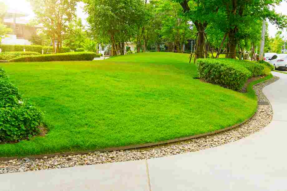 Landscape Edging Experts | Landscape Improvements