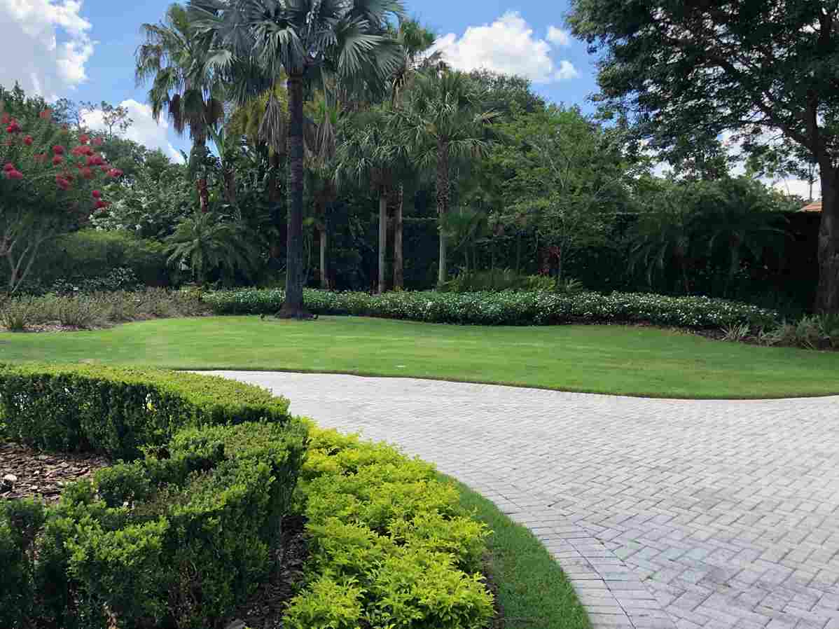 Residential Landscape Design College Park | Landscape Improvements