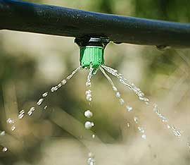 Sprinkler Repair Near Me | Landscape Improvements