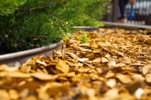 Mulch | Landscape Improvements