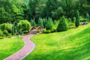 Commercial Landscape Edging | Landscape Improvements