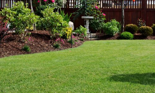 Garden With Lawn and Mulch Dressing