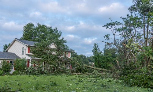 Outdoor Damage After Storm