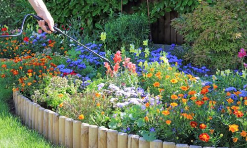 Fertilizing Flowers