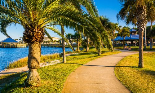 A Public Place With Palm Trees