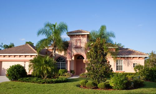 Florida Home With Bushes and Palm Trees